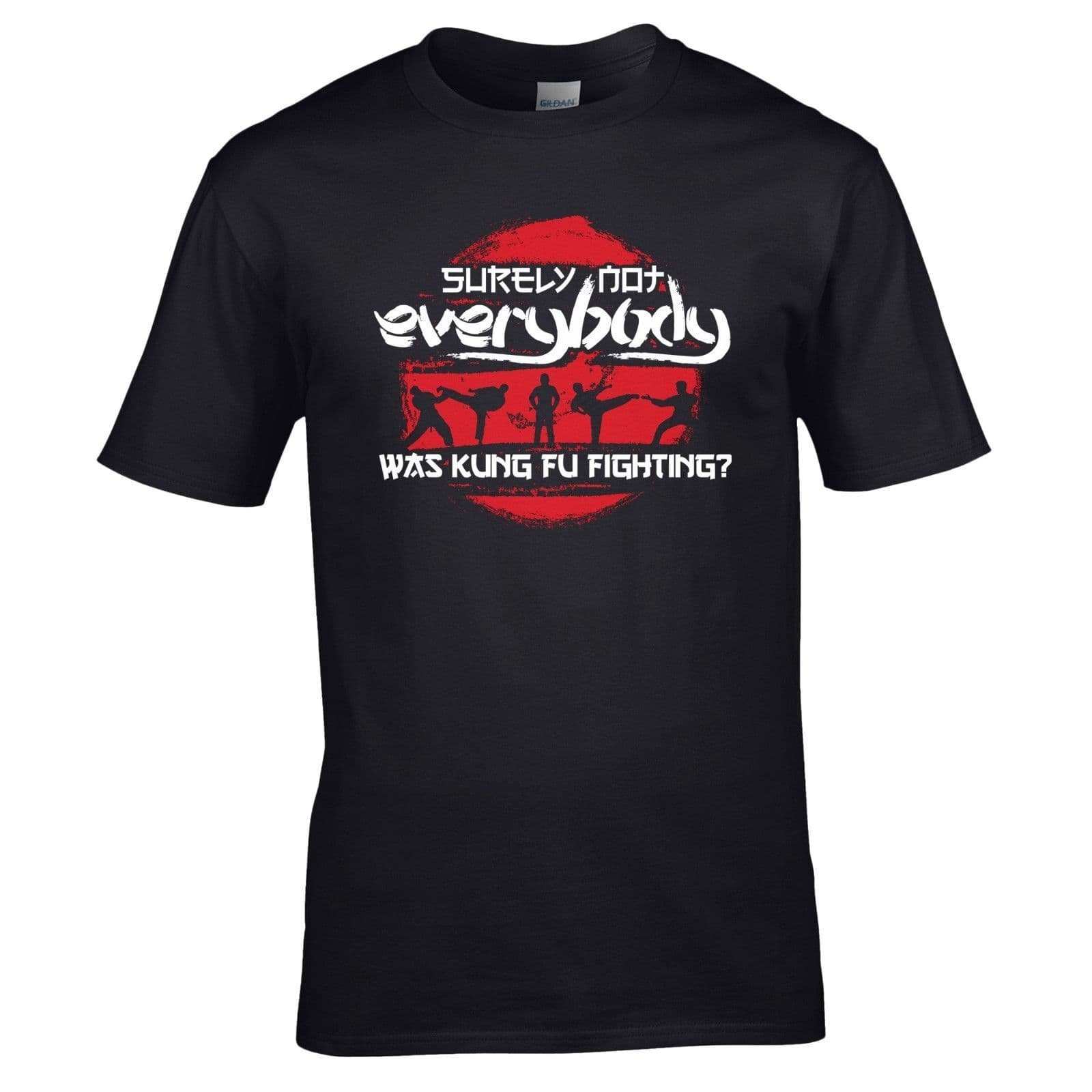 Surely Not Everybody Was Kung Fu Fighting? T-Shirt - Parody Mens Joke Gift Top